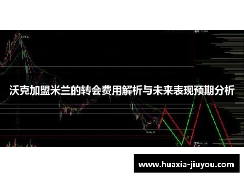 沃克加盟米兰的转会费用解析与未来表现预期分析 沃克加盟米兰的转会费用解析与未来表现预期分析