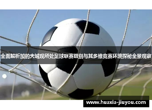 全面解析加的夫城现所处足球联赛级别与其多维竞赛环境探秘全景观察